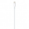 
Кабель USB‑C/Lightning (2 м)